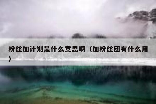 粉丝加计划是什么意思啊（加粉丝团有什么用） 第1张