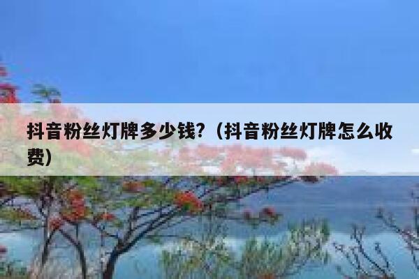 抖音粉丝灯牌多少钱?(抖音粉丝灯牌怎么收费) 第1张 抖音粉丝灯牌多少钱?(抖音粉丝灯牌怎么收费) 第1张