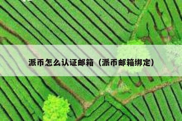 派币怎么认证邮箱(派币邮箱绑定) 第1张 派币怎么认证邮箱(派币邮箱绑定) 第1张