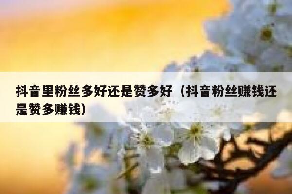 抖音里粉丝多好还是赞多好（抖音粉丝赚钱还是赞多赚钱） 第1张