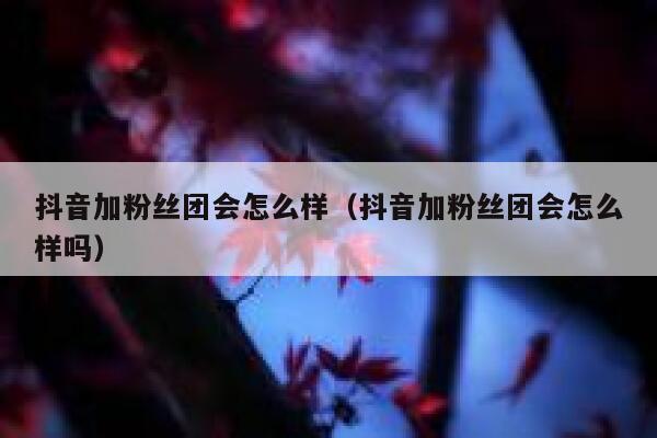抖音加粉丝团会怎么样（抖音加粉丝团会怎么样吗） 第1张