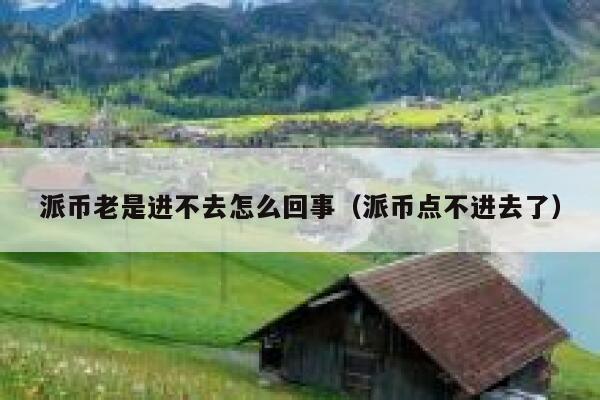 派币老是进不去怎么回事（派币点不进去了） 第1张
