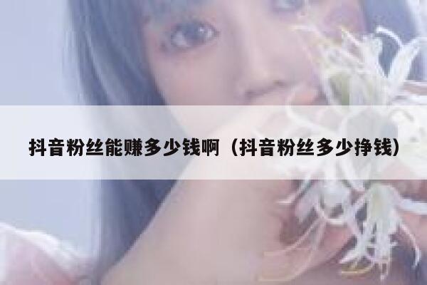 抖音粉丝能赚多少钱啊(抖音粉丝多少挣钱) 第1张 抖音粉丝能赚多少钱啊(抖音粉丝多少挣钱) 第1张