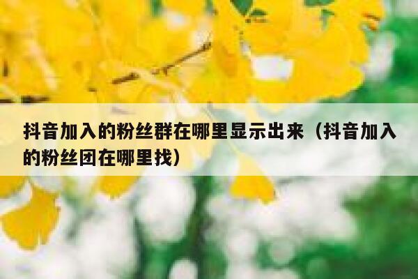抖音加入的粉丝群在哪里显示出来(抖音加入的粉丝团在哪里找) 第1张 抖音加入的粉丝群在哪里显示出来(抖音加入的粉丝团在哪里找) 第1张