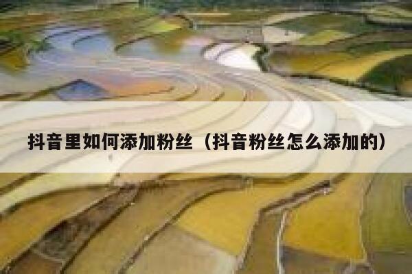 抖音里如何添加粉丝(抖音粉丝怎么添加的) 第1张 抖音里如何添加粉丝(抖音粉丝怎么添加的) 第1张