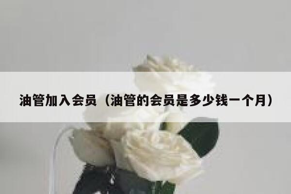 油管加入会员(油管的会员是多少钱一个月) 第1张 油管加入会员(油管的会员是多少钱一个月) 第1张