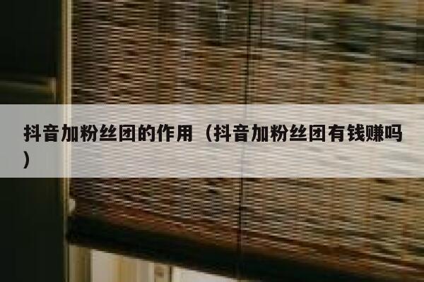 抖音加粉丝团的作用(抖音加粉丝团有钱赚吗) 第1张 抖音加粉丝团的作用(抖音加粉丝团有钱赚吗) 第1张