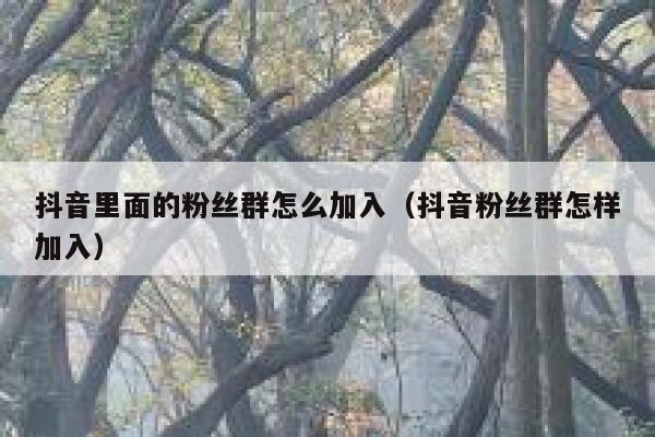 抖音里面的粉丝群怎么加入(抖音粉丝群怎样加入) 第1张 抖音里面的粉丝群怎么加入(抖音粉丝群怎样加入) 第1张