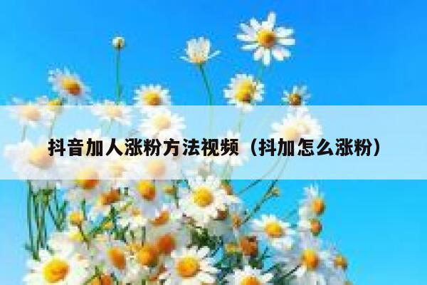 抖音加人涨粉方法视频(抖加怎么涨粉) 第1张 抖音加人涨粉方法视频(抖加怎么涨粉) 第1张