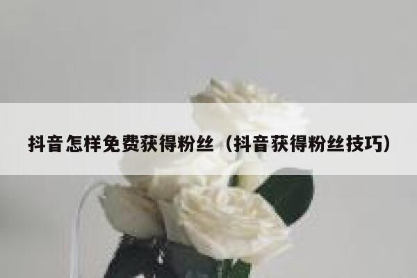 抖音怎样免费获得粉丝(抖音获得粉丝技巧) 第1张 抖音怎样免费获得粉丝(抖音获得粉丝技巧) 第1张