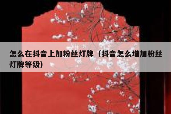 怎么在抖音上加粉丝灯牌（抖音怎么增加粉丝灯牌等级） 第1张