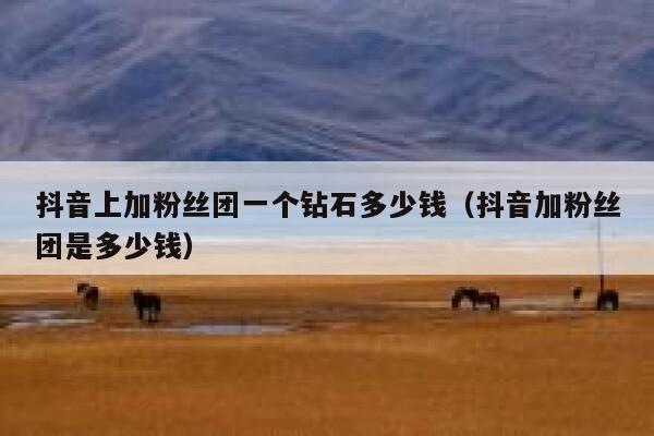抖音上加粉丝团一个钻石多少钱(抖音加粉丝团是多少钱) 第1张 抖音上加粉丝团一个钻石多少钱(抖音加粉丝团是多少钱) 第1张