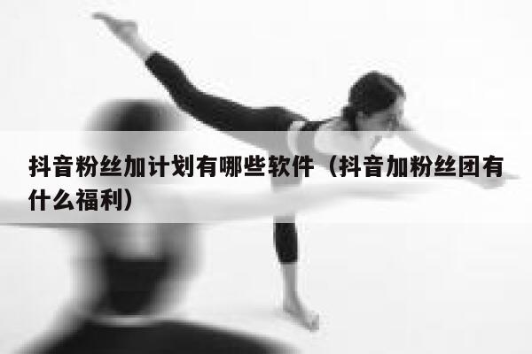 抖音粉丝加计划有哪些软件（抖音加粉丝团有什么福利） 第1张