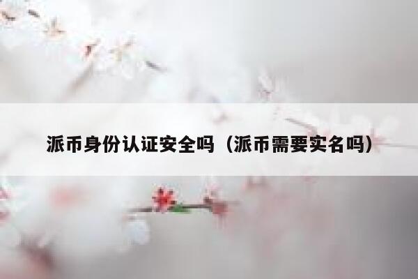 派币身份认证安全吗（派币需要实名吗） 第1张
