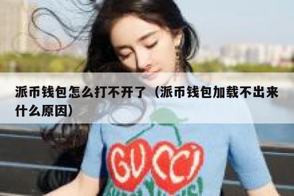 派币钱包怎么打不开了（派币钱包加载不出来什么原因） 第1张
