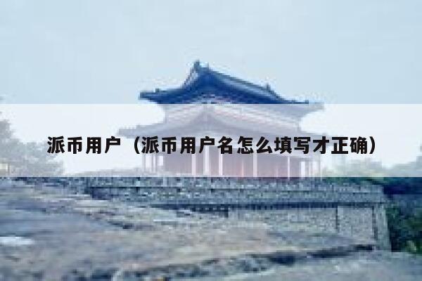 派币用户（派币用户名怎么填写才正确） 第1张