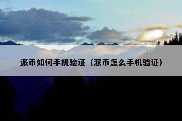 派币如何手机验证(派币怎么手机验证) 第1张 派币如何手机验证(派币怎么手机验证) 第1张