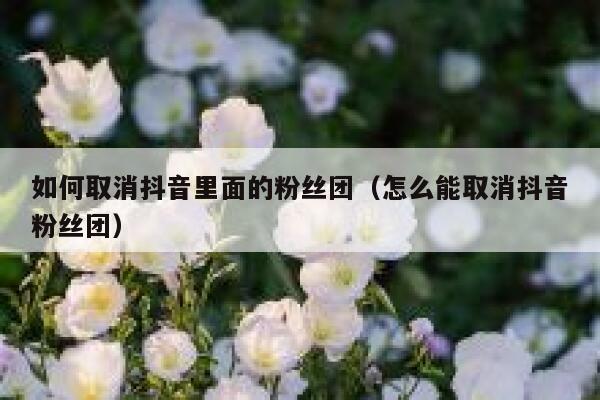 如何取消抖音里面的粉丝团(怎么能取消抖音粉丝团) 第1张 如何取消抖音里面的粉丝团(怎么能取消抖音粉丝团) 第1张