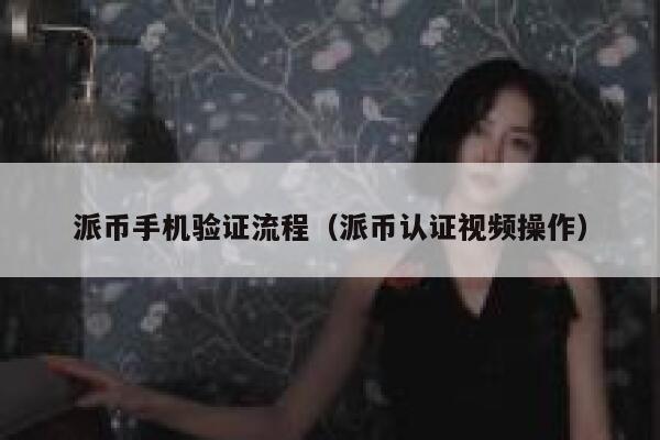 派币手机验证流程（派币认证视频操作） 第1张
