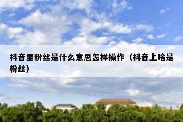 抖音里粉丝是什么意思怎样操作(抖音上啥是粉丝) 第1张 抖音里粉丝是什么意思怎样操作(抖音上啥是粉丝) 第1张