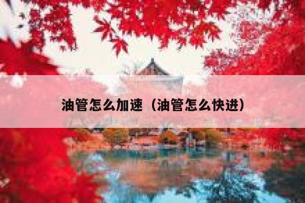 油管怎么加速（油管怎么快进） 第1张