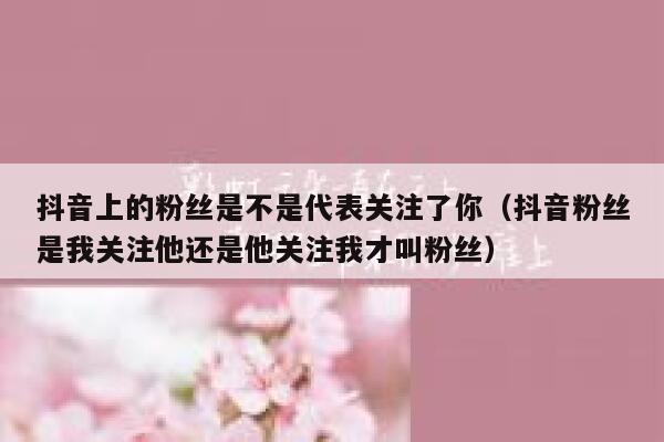 抖音上的粉丝是不是代表关注了你(抖音粉丝是我关注他还是他关注我才叫粉丝) 第1张 抖音上的粉丝是不是代表关注了你(抖音粉丝是我关注他还是他关注我才叫粉丝) 第1张