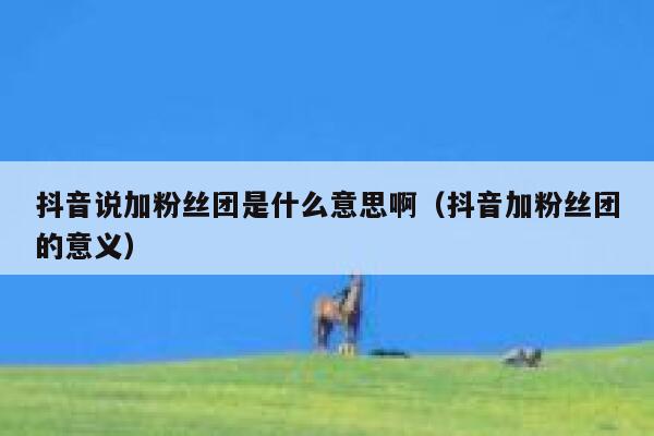 抖音说加粉丝团是什么意思啊(抖音加粉丝团的意义) 第1张 抖音说加粉丝团是什么意思啊(抖音加粉丝团的意义) 第1张