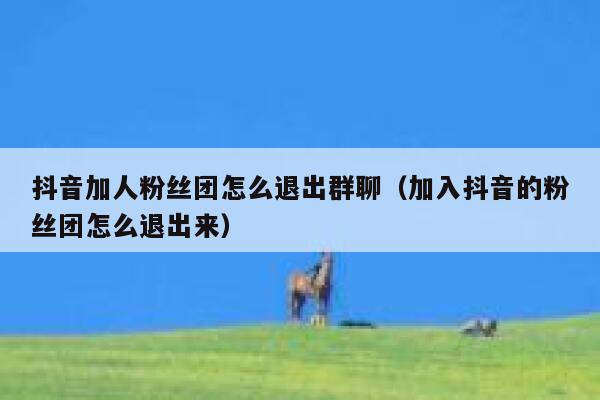 抖音加人粉丝团怎么退出群聊(加入抖音的粉丝团怎么退出来) 第1张 抖音加人粉丝团怎么退出群聊(加入抖音的粉丝团怎么退出来) 第1张