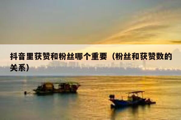 抖音里获赞和粉丝哪个重要（粉丝和获赞数的关系） 第1张