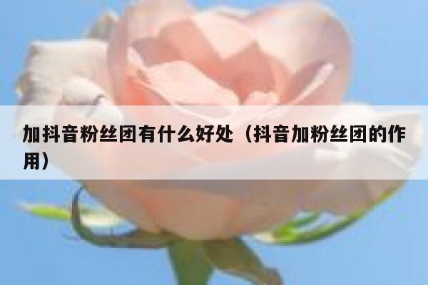 加抖音粉丝团有什么好处(抖音加粉丝团的作用) 第1张 加抖音粉丝团有什么好处(抖音加粉丝团的作用) 第1张