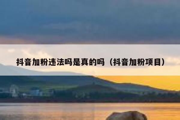 抖音加粉违法吗是真的吗（抖音加粉项目） 第1张