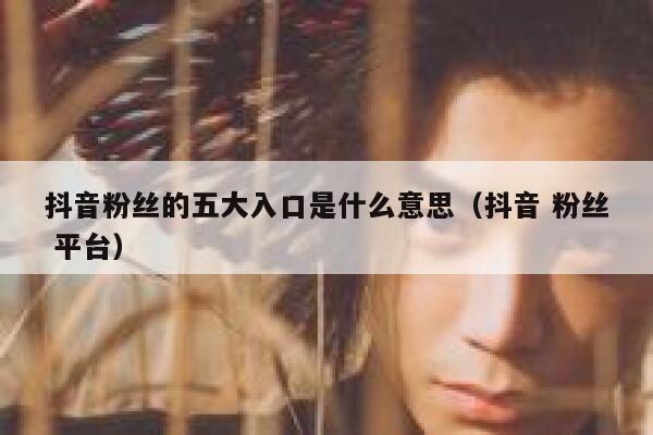 抖音粉丝的五大入口是什么意思(抖音 粉丝 平台) 第1张 抖音粉丝的五大入口是什么意思(抖音 粉丝 平台) 第1张