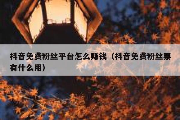 抖音免费粉丝平台怎么赚钱(抖音免费粉丝票有什么用) 第1张 抖音免费粉丝平台怎么赚钱(抖音免费粉丝票有什么用) 第1张