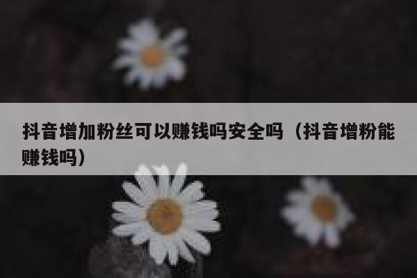 抖音增加粉丝可以赚钱吗安全吗(抖音增粉能赚钱吗) 第1张 抖音增加粉丝可以赚钱吗安全吗(抖音增粉能赚钱吗) 第1张
