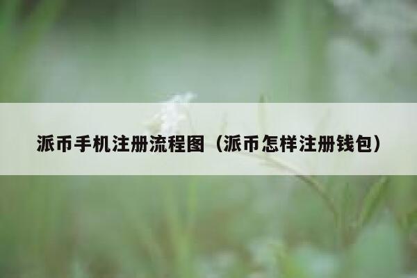 派币手机注册流程图(派币怎样注册钱包) 第1张 派币手机注册流程图(派币怎样注册钱包) 第1张