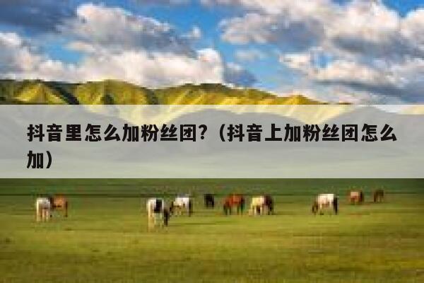 抖音里怎么加粉丝团?(抖音上加粉丝团怎么加) 第1张 抖音里怎么加粉丝团?(抖音上加粉丝团怎么加) 第1张