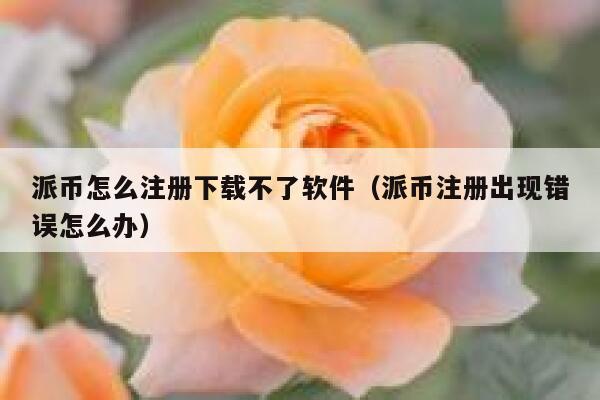 派币怎么注册下载不了软件（派币注册出现错误怎么办） 第1张