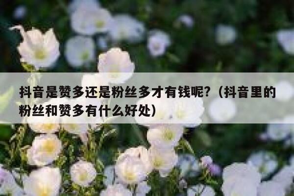 抖音是赞多还是粉丝多才有钱呢?（抖音里的粉丝和赞多有什么好处） 第1张