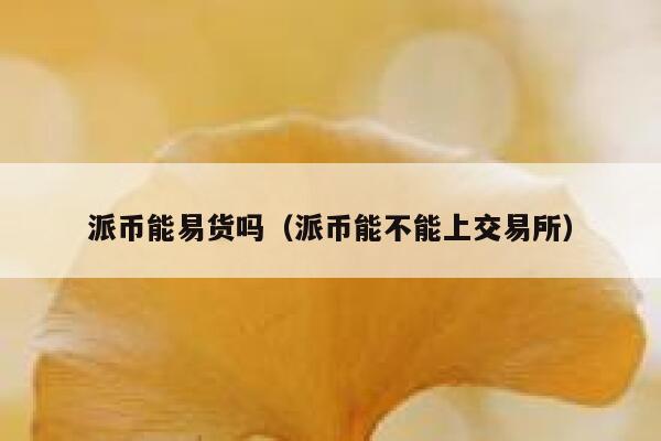 派币能易货吗（派币能不能上交易所） 第1张