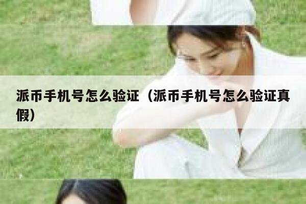 派币手机号怎么验证(派币手机号怎么验证真假) 第1张 派币手机号怎么验证(派币手机号怎么验证真假) 第1张