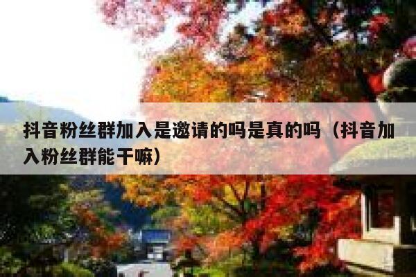 抖音粉丝群加入是邀请的吗是真的吗（抖音加入粉丝群能干嘛） 第1张