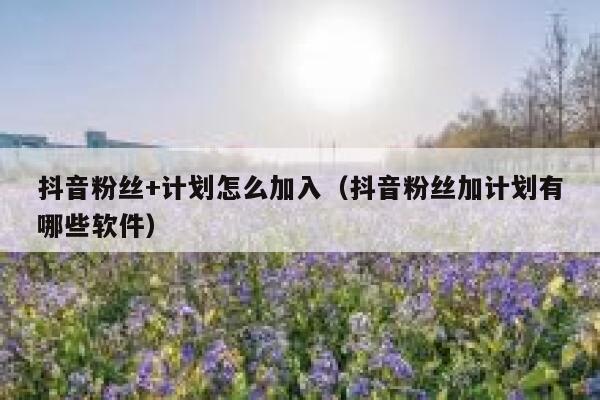 抖音粉丝+计划怎么加入（抖音粉丝加计划有哪些软件） 第1张