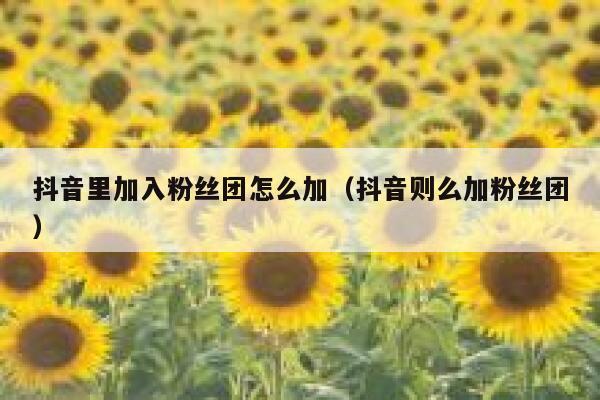 抖音里加入粉丝团怎么加(抖音则么加粉丝团) 第1张 抖音里加入粉丝团怎么加(抖音则么加粉丝团) 第1张