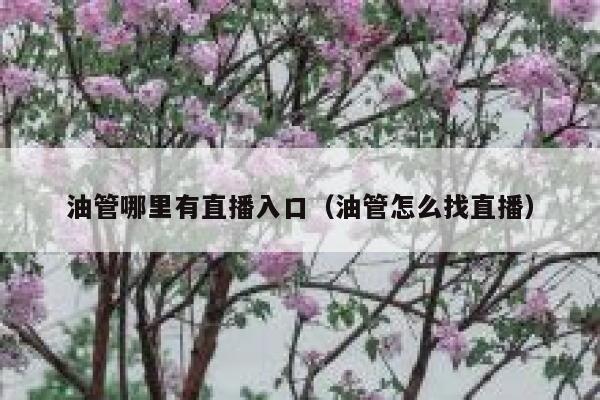 油管哪里有直播入口(油管怎么找直播) 第1张 油管哪里有直播入口(油管怎么找直播) 第1张