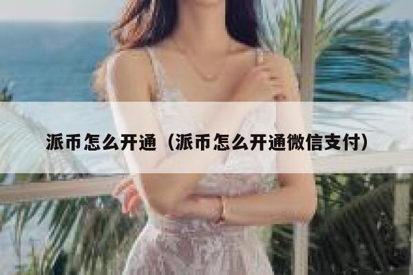 派币怎么开通(派币怎么开通微信支付) 第1张 派币怎么开通(派币怎么开通微信支付) 第1张