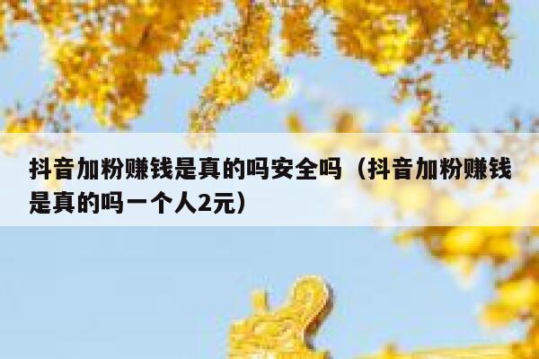 抖音加粉赚钱是真的吗安全吗（抖音加粉赚钱是真的吗一个人2元） 第1张