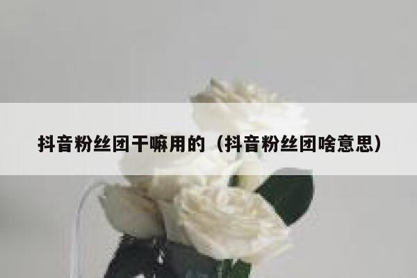 抖音粉丝团干嘛用的（抖音粉丝团啥意思） 第1张