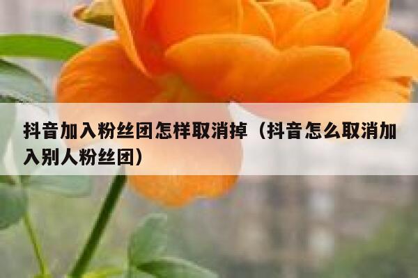 抖音加入粉丝团怎样取消掉（抖音怎么取消加入别人粉丝团） 第1张