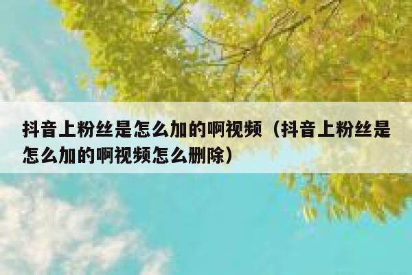 抖音上粉丝是怎么加的啊视频(抖音上粉丝是怎么加的啊视频怎么删除) 第1张 抖音上粉丝是怎么加的啊视频(抖音上粉丝是怎么加的啊视频怎么删除) 第1张