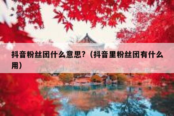 抖音粉丝团什么意思?（抖音里粉丝团有什么用） 第1张